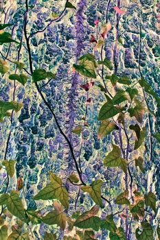 N 119B